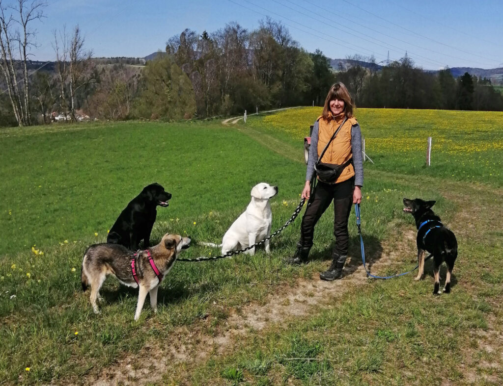 Juliane mit vier Hunden