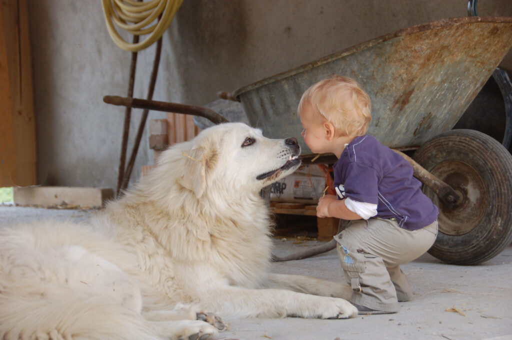 Hund und Kind